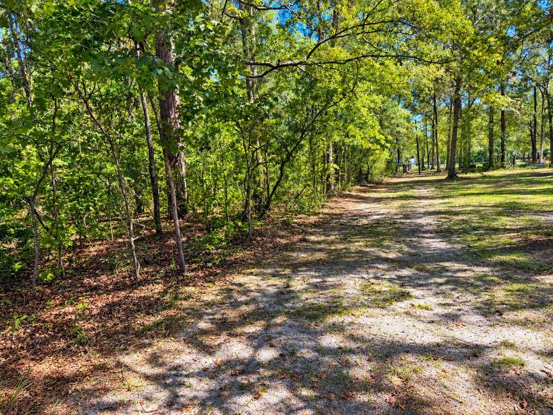 8127 Gabe Rd Lot #1, Adams Run, SC 29426
