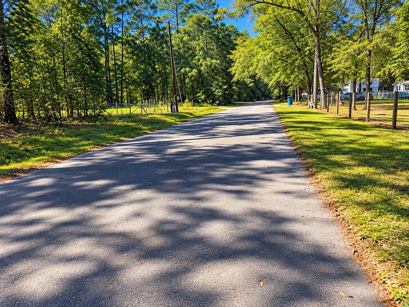 8127 Gabe Rd Lot 2, Adams Run, SC 29426