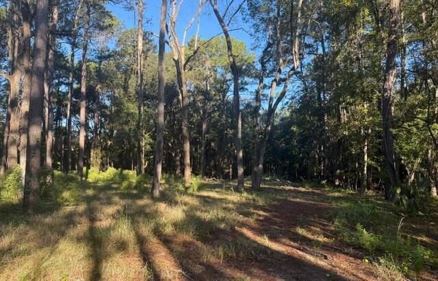 4274 River Rd, Johns Island, SC 29455