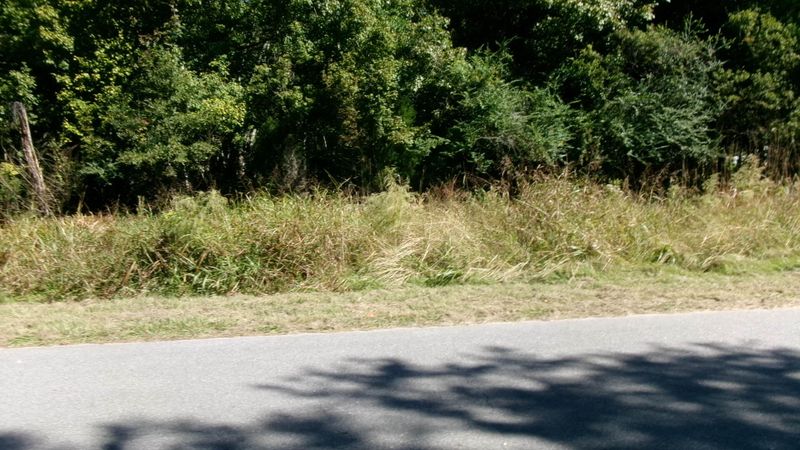 Lot 4 Manor Rd, Hollywood, SC 29449