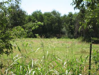 00 County Road 133, Hutto, TX 78634
