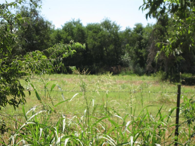 00 County Road 133, Hutto, TX 78634