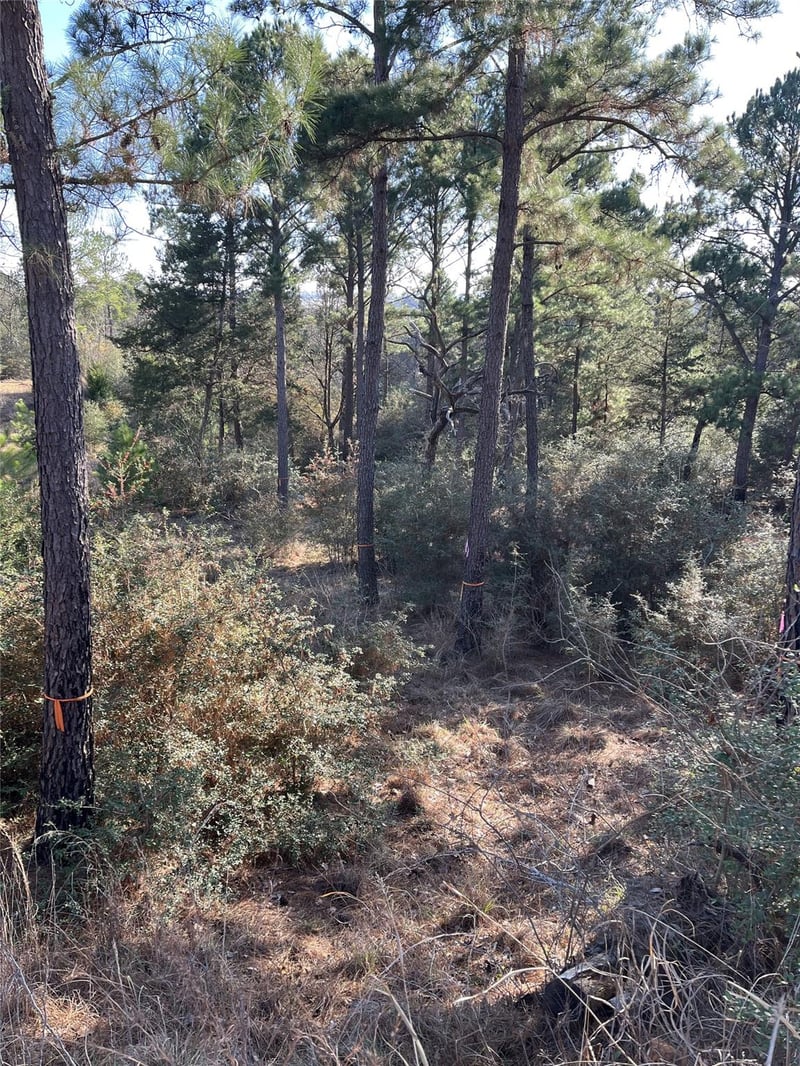 TBD Wahane, Bastrop, TX 78602