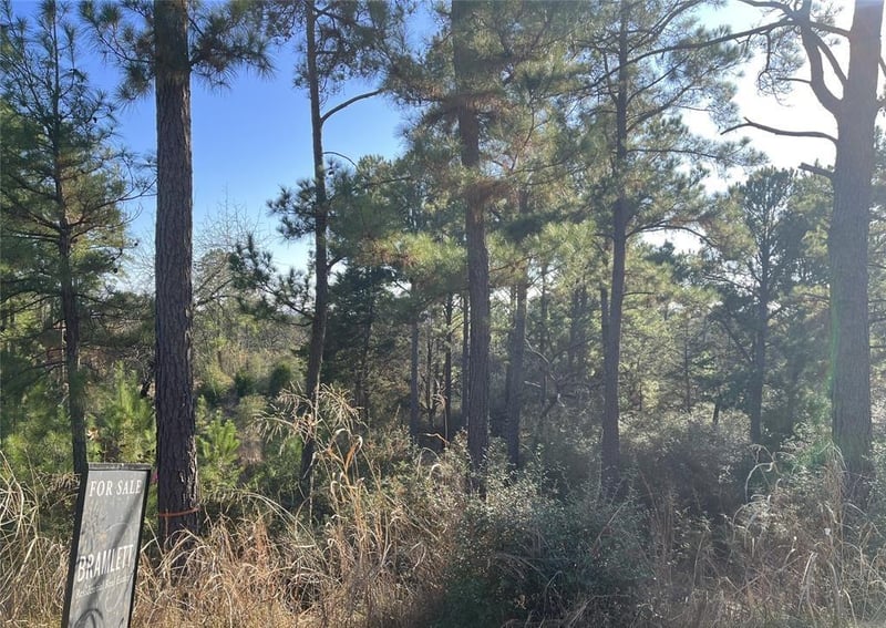 TBD Wahane, Bastrop, TX 78602
