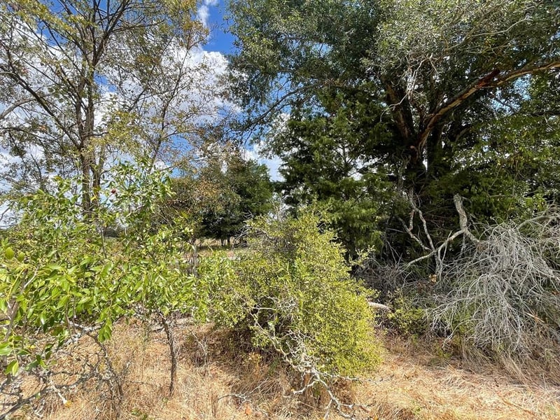 281 E Fm 979, Franklin, TX 77856