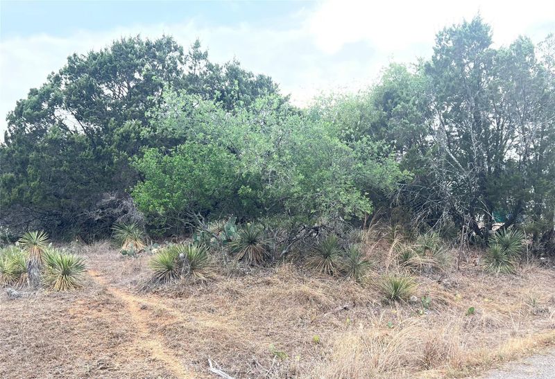 Lot 281 - 282 Briarway DR, Granite Shoals, TX 78654