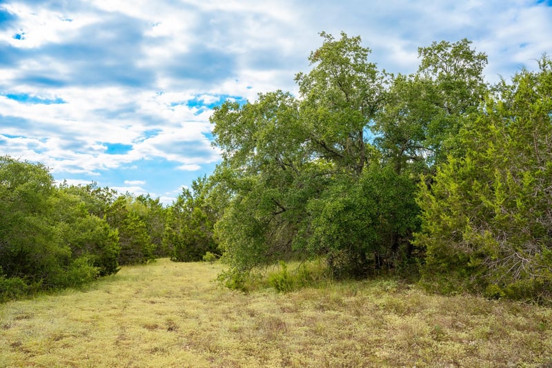 31171 Ranch Road 12, Dripping Springs, TX 78620
