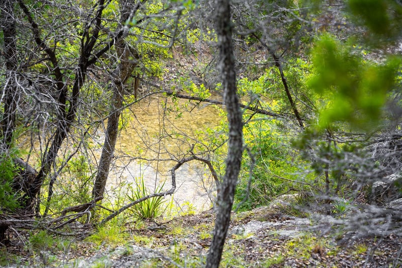 31171 Ranch Road 12, Dripping Springs, TX 78620