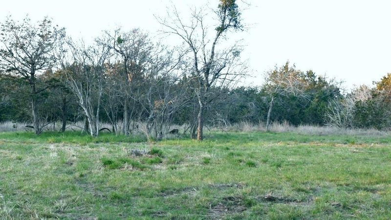 1141 Settlers RD, San Marcos, TX 78666