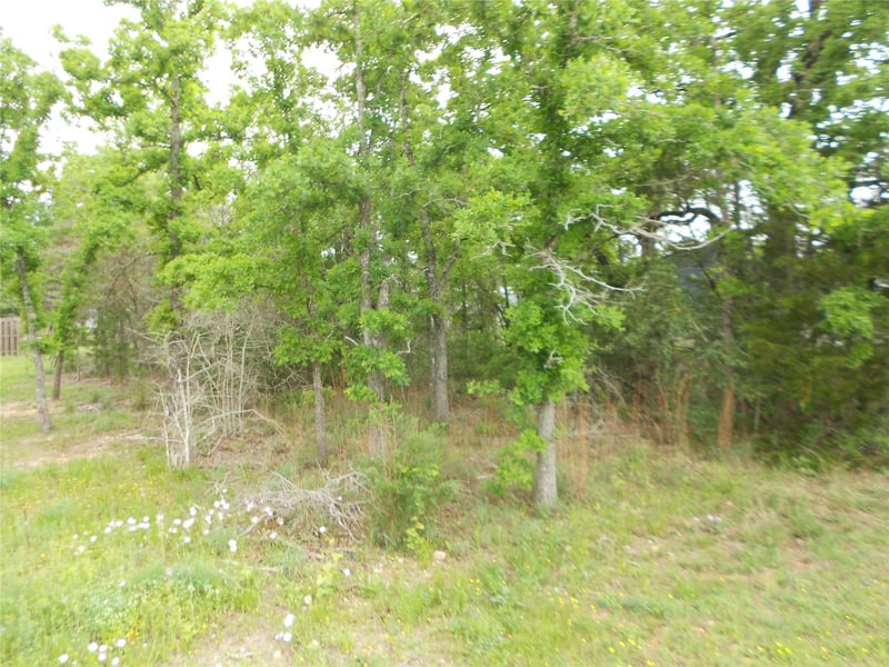 441 Tom Tom, Smithville, TX 78957