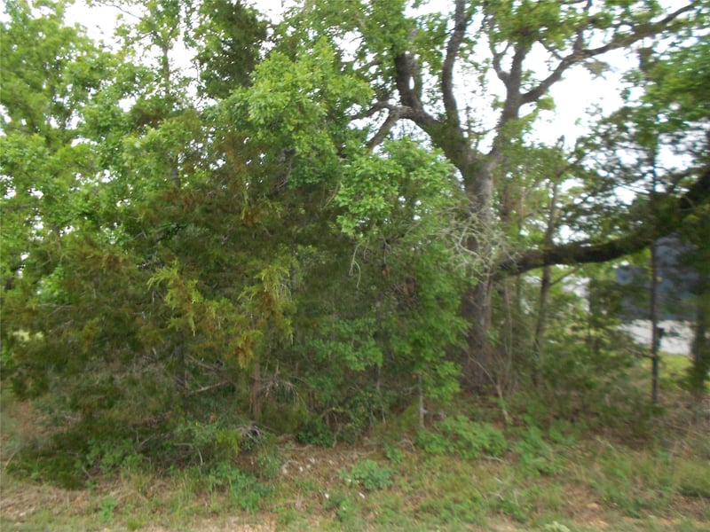 441 Tom Tom, Smithville, TX 78957