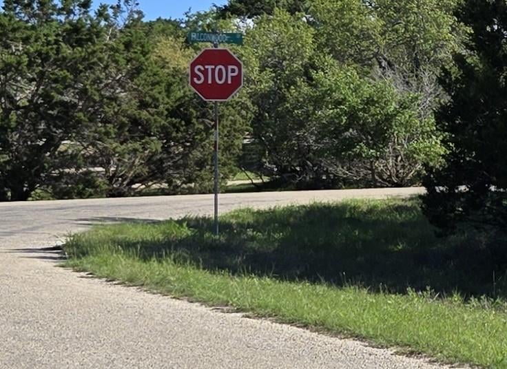 343 Falconwood DR, San Marcos, TX 78666