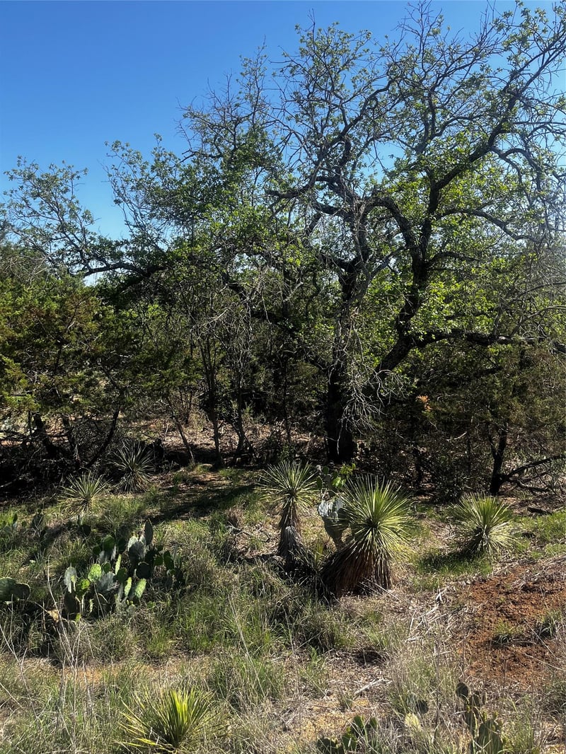 0 Castlebriar ST, Granite Shoals, TX 78654
