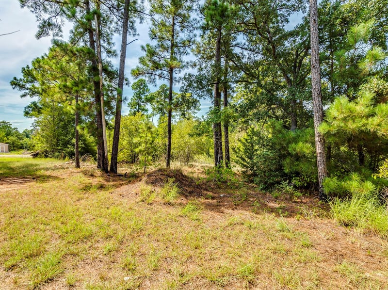 00 Makaha DR, Bastrop, TX 78602
