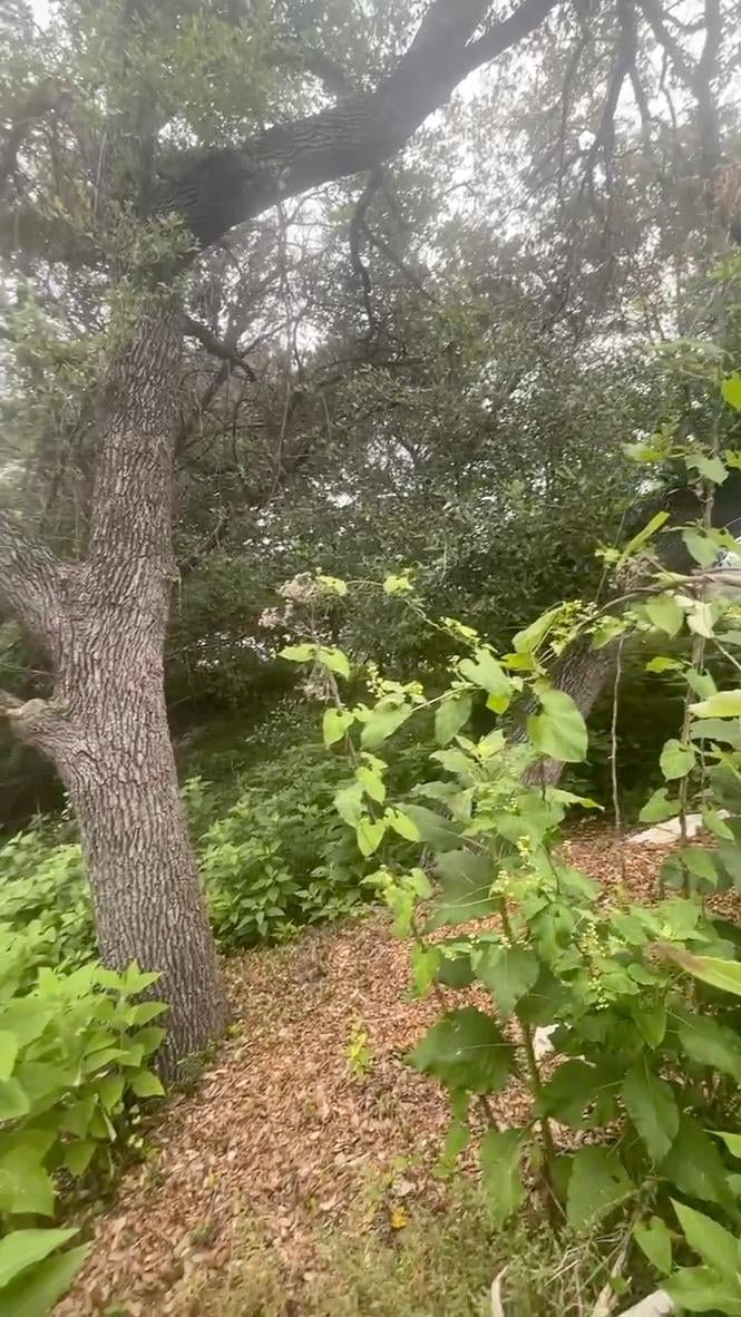 4908 Arrowhead DR, Lago Vista, TX 78645