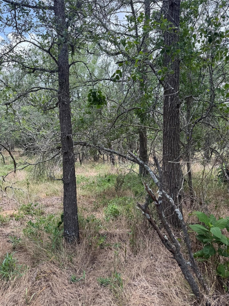 Lot 686 Kawainui LN, Bastrop, TX 78602