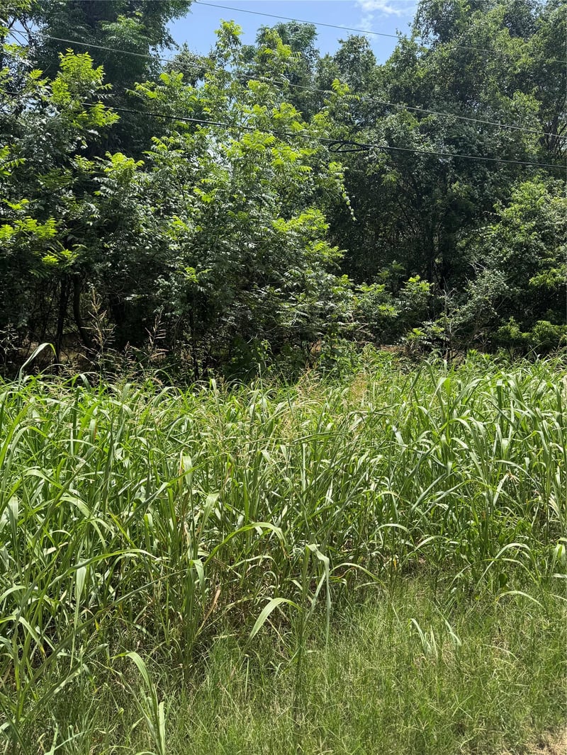 Lot 908 Kahana LN, Bastrop, TX 78602