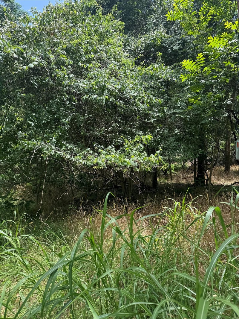 Lot 908 Kahana LN, Bastrop, TX 78602