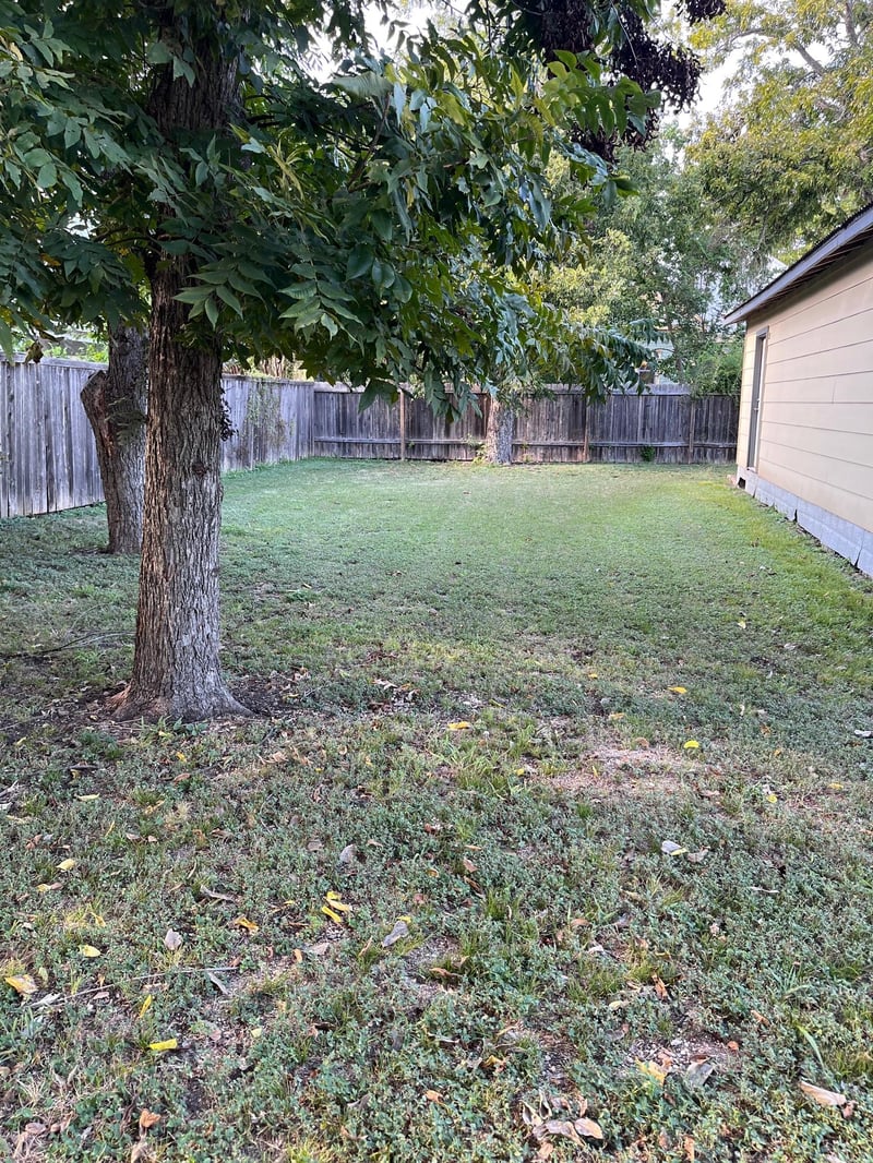 115 Guadalupe ST, Lockhart, TX 78644