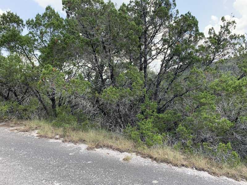 8607 Teton Ps, Lago Vista, TX 78645