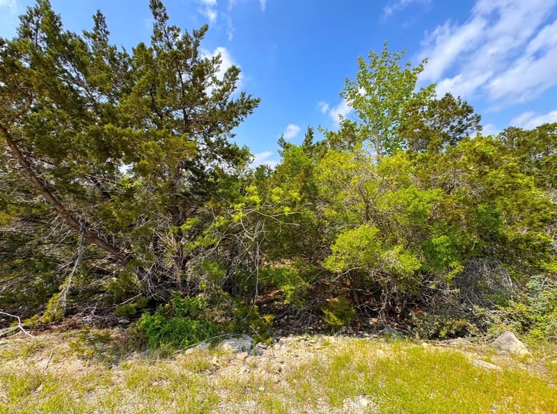 985 Oblate DR, Canyon Lake, TX 78133