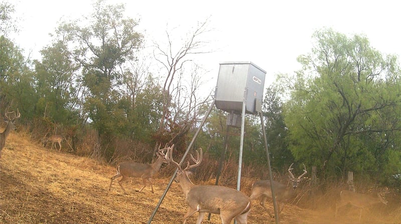 TBD Fm 580 RD, Lampasas, TX 76550
