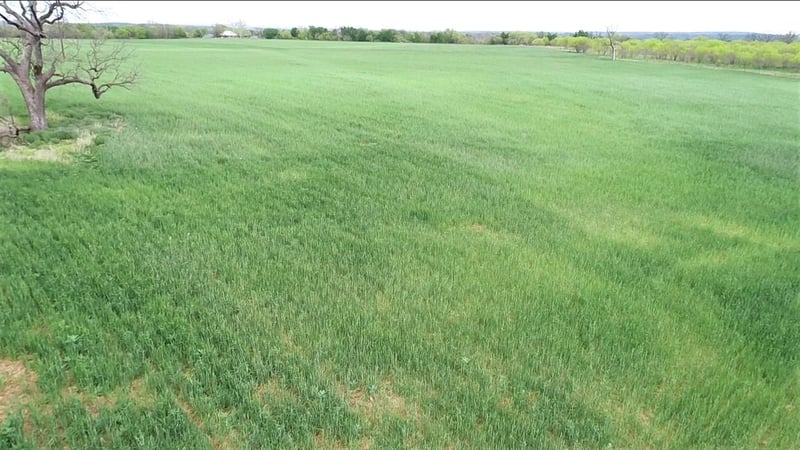 TBD Fm 580 RD, Lampasas, TX 76550