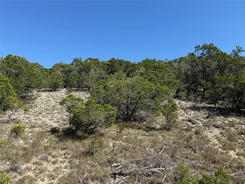 917 Roy Creek TRL, Dripping Springs, TX 78620