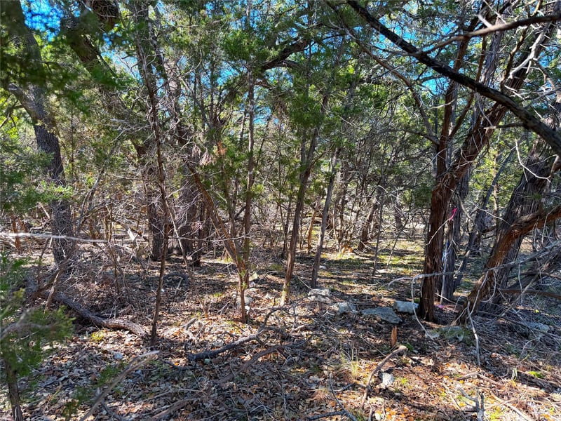 426 Clay RDG, Canyon Lake, TX 78133
