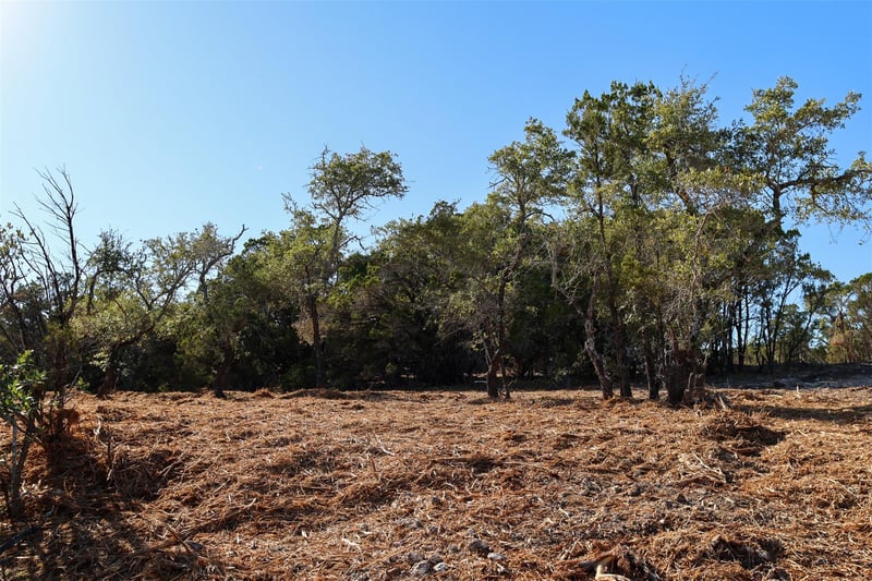 3101 - 4 Longhorn TRL, Wimberley, TX 78676