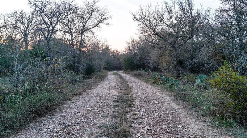 137 Shady Oaks Loop, Cedar Creek, TX 78612