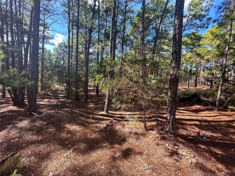 Lot 11 Hickory Ridge DR, Bastrop, TX 78602