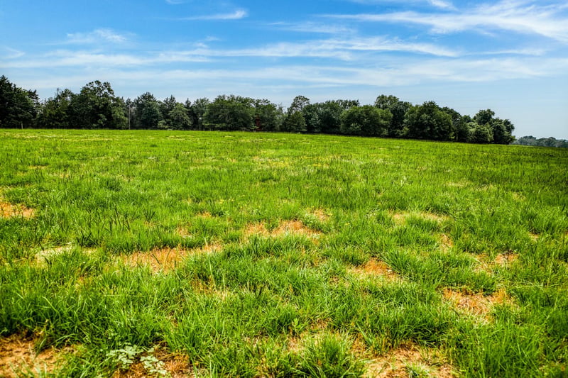 10610 Cr 322, Caldwell, TX 77836