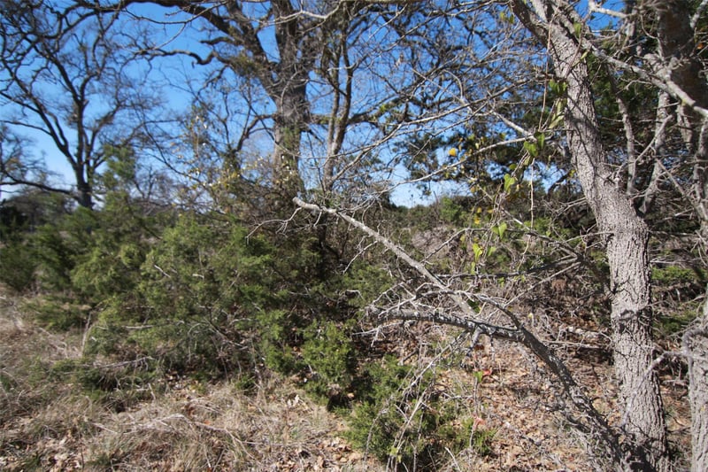 105 Daisy LN, Dripping Springs, TX 78620
