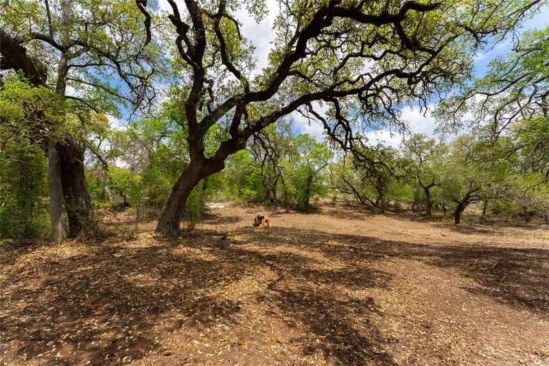 523 Dario DR, Dripping Springs, TX 78620