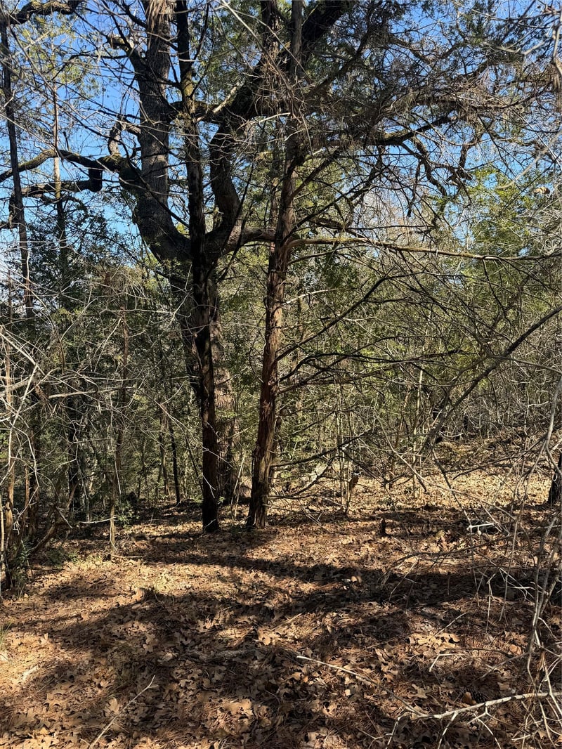 Lot 321 Keneka LN, Bastrop, TX 78602