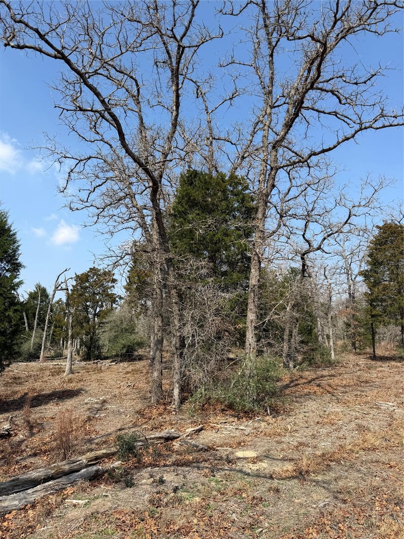 TBD N County Line RD, Elgin, TX 78621