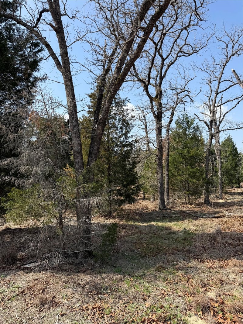 TBD N County Line RD, Elgin, TX 78621