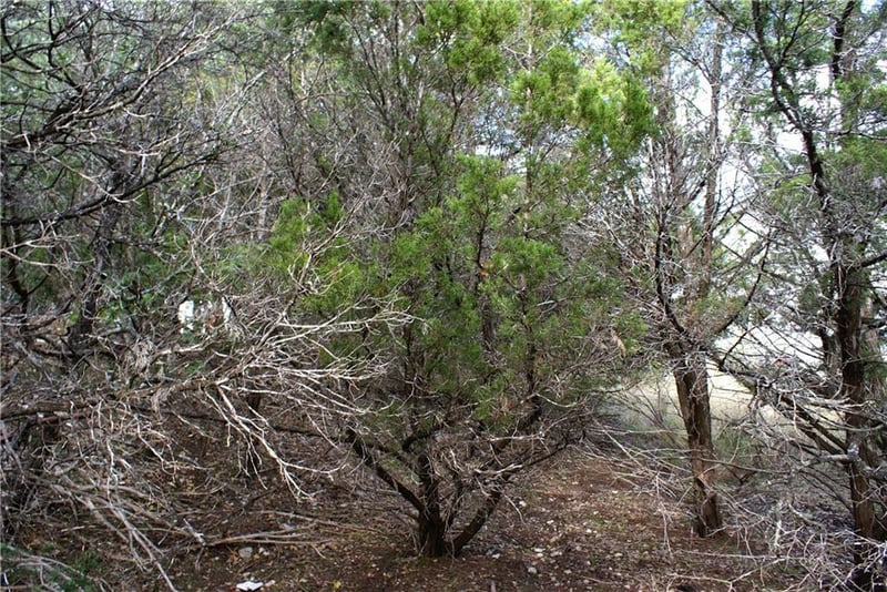 Lot 31 Panorama DR, Dripping Springs, TX 78620