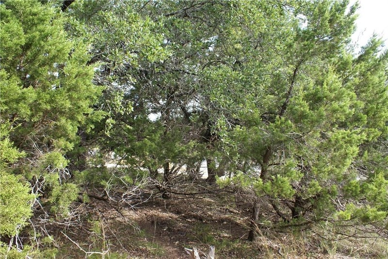 Lot 31 Panorama DR, Dripping Springs, TX 78620