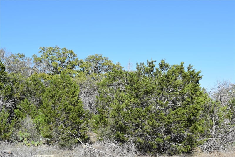 TBD Cheyenne TRL, Wimberley, TX 78676