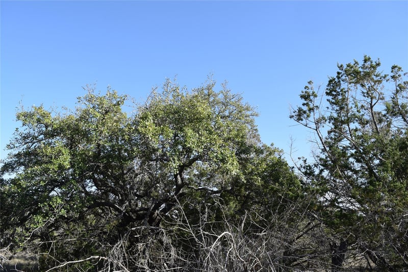 TBD Cheyenne TRL, Wimberley, TX 78676