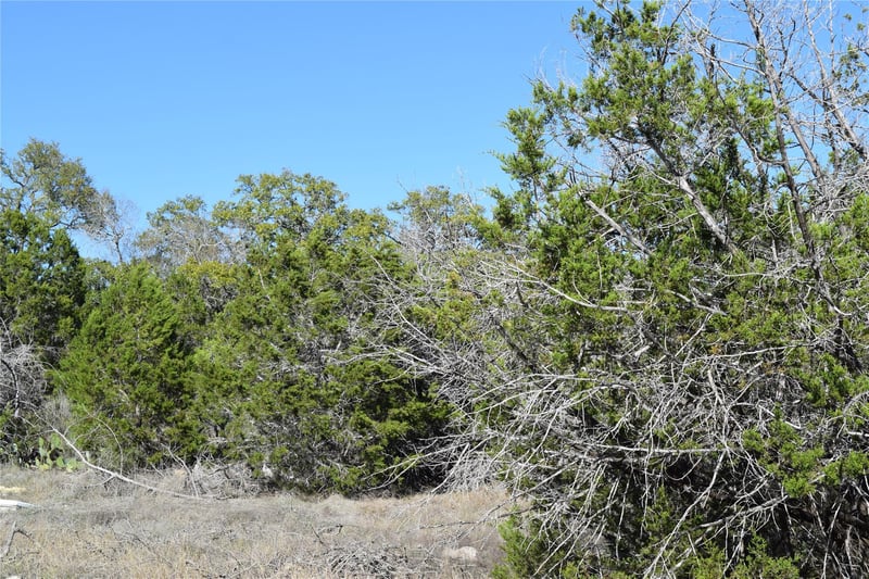 TBD Cheyenne TRL, Wimberley, TX 78676