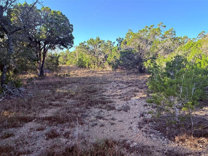 3600 Stagecoach Ranch Loop, Dripping Springs, TX 78620