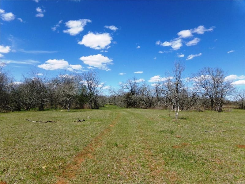TBD Fm 619, Thrall, TX 76578