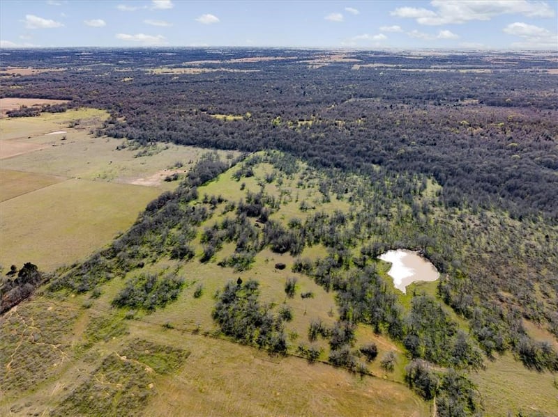 TBD Fm 619, Thrall, TX 76578