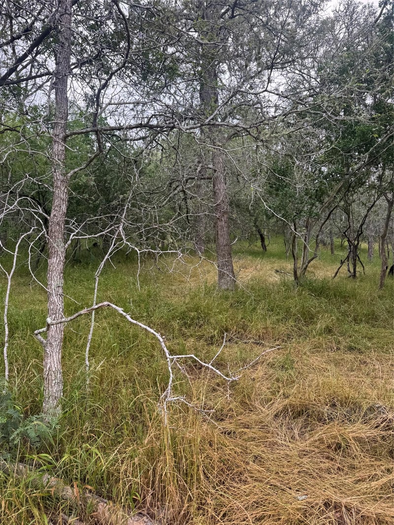 109 Hauula CT, Bastrop, TX 78602