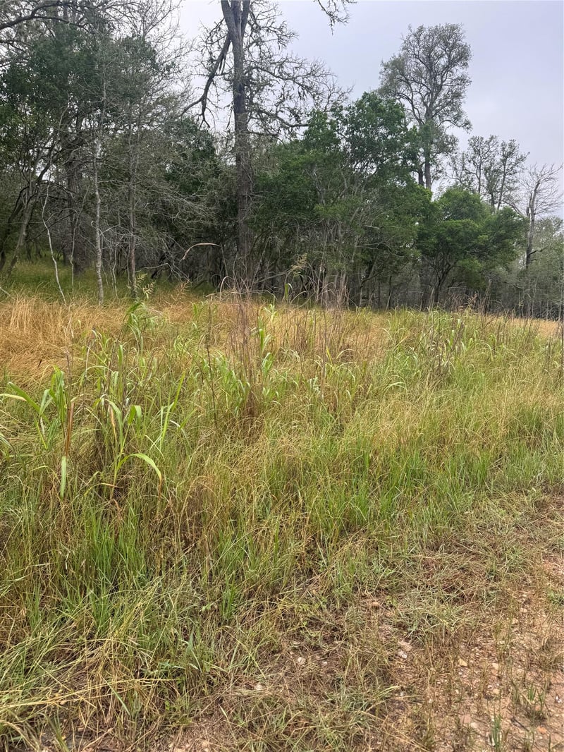 109 Hauula CT, Bastrop, TX 78602
