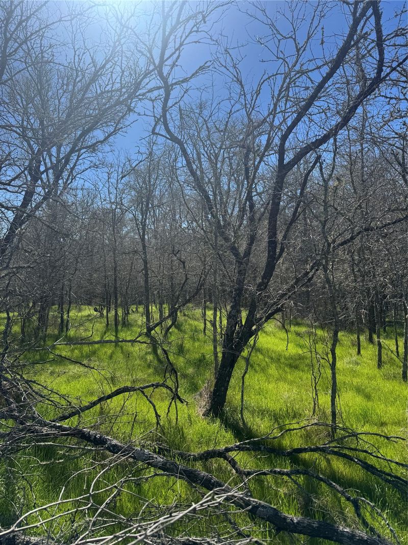 291 Kolekole LN, Bastrop, TX 78602