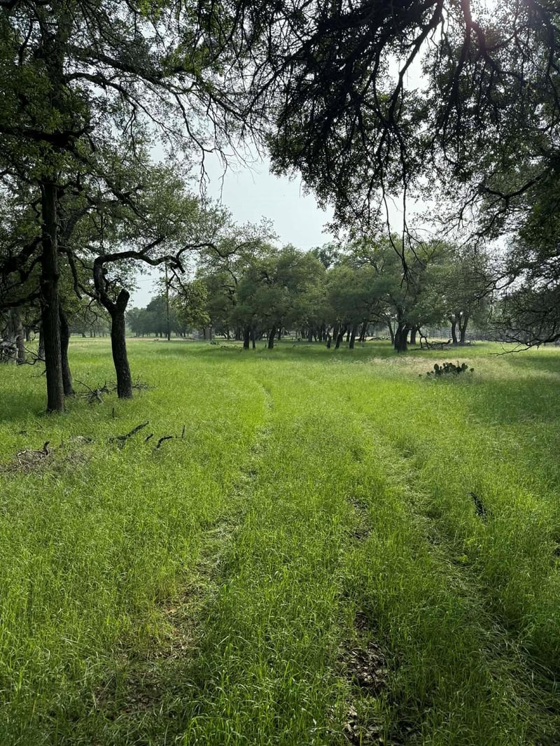 2251 County Road 234 LN, Georgetown, TX 78633